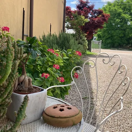 L'airone